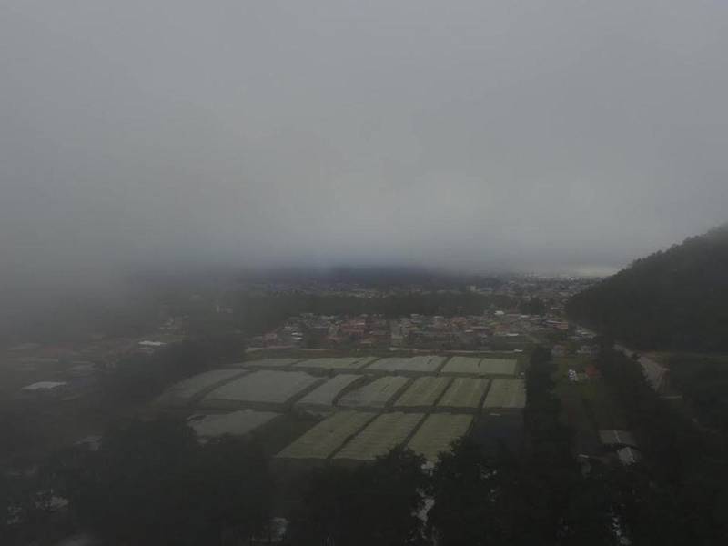 Municipios del occidente de Honduras amanecieron con temperaturas gélidas.