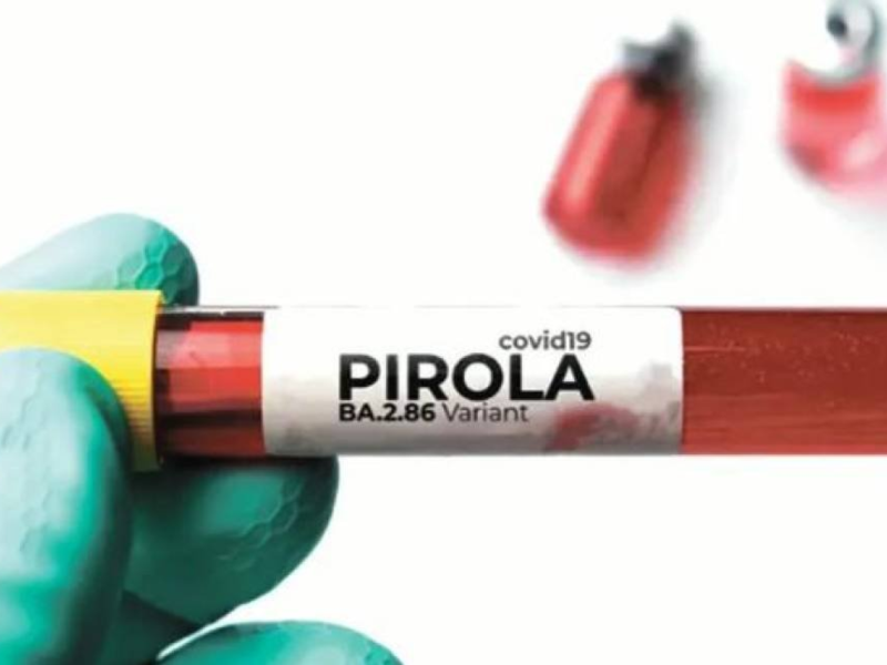 En un giro inesperado, la variante JN.1 Pirola ha emergido como una de las cepas predominantes.