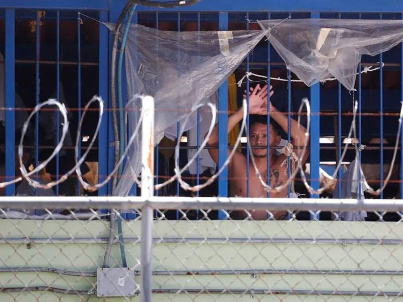 Socorro Jurídico reiteró que el 94 % de estas personas no tenían perfil de pandilleros y murieron bajo la tutela del Estado y en total impunidad, sin haber sido vencidas en juicio.