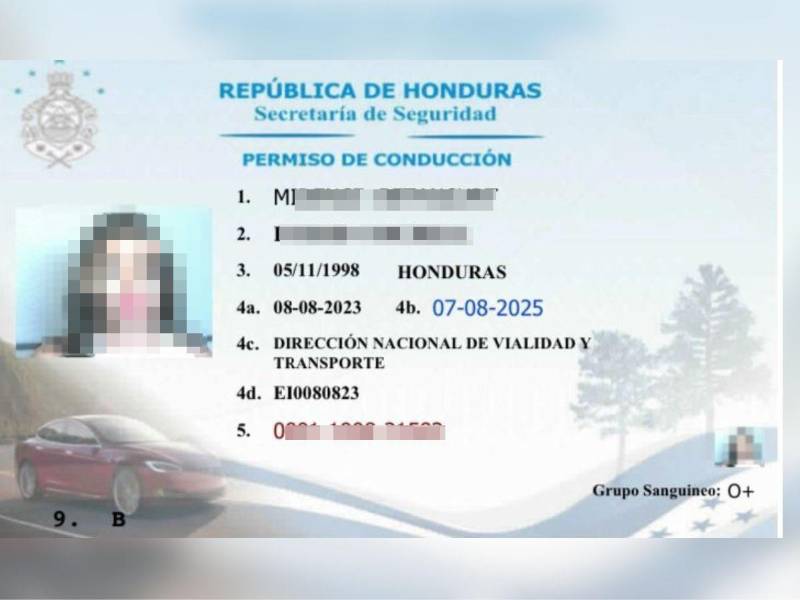 La Dirección Nacional de Vialidad y Transporte está entregando las licencias digitales en cinco días hábiles aunque en algunos casos envian el correo unas horas después de realizar el trámite.