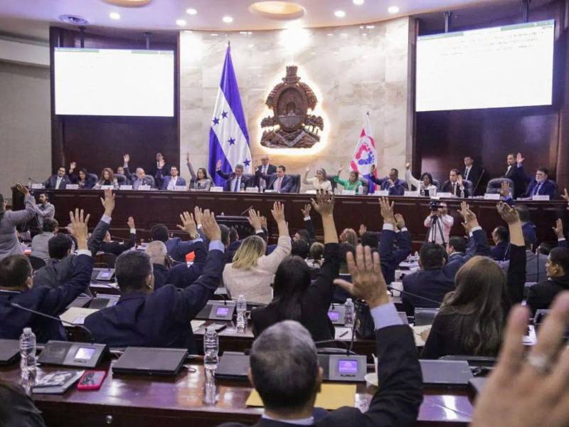 ​Para operativizar esta nueva visión, el Congreso Nacional creará una Unidad de Ayudas Sociales que funcionará bajo estrictas reglas de auditoría.