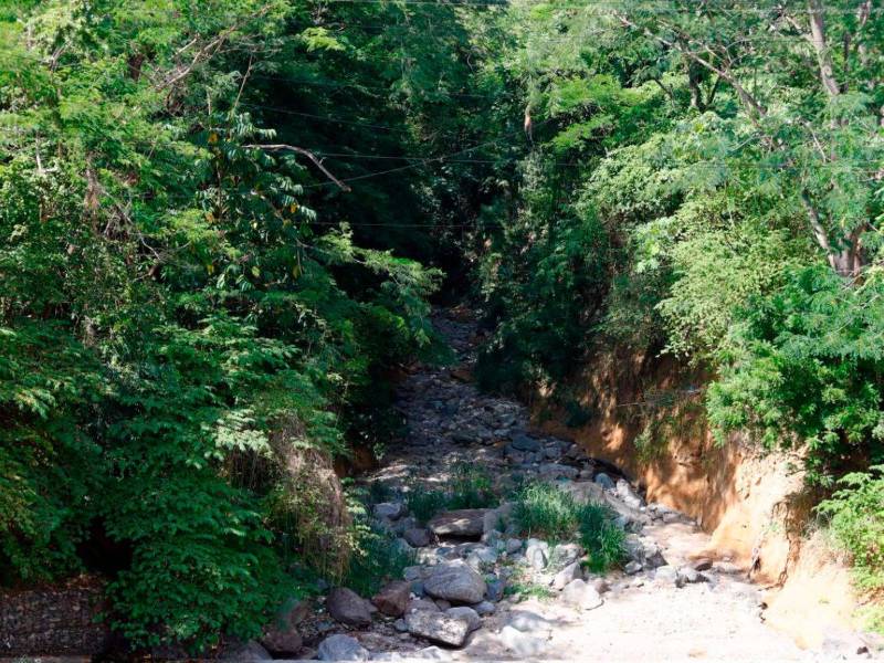 Actualmente las fuentes superficiales están secas y se necesita proteger las fuentes de agua.