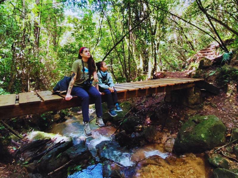 <b>1) Parque Nacional La Tigra (Francisco Morazán) </b>A solo 20 km de Tegucigalpa, es el bosque nublado más accesible del país. Ideal para senderismo entre neblina, cascadas y avistamiento de aves. Se llega por Valle de Ángeles o El Hatillo en carretera pavimentada. Es clave respetar senderos y no dejar basura: aquí nacen fuentes de agua vitales.