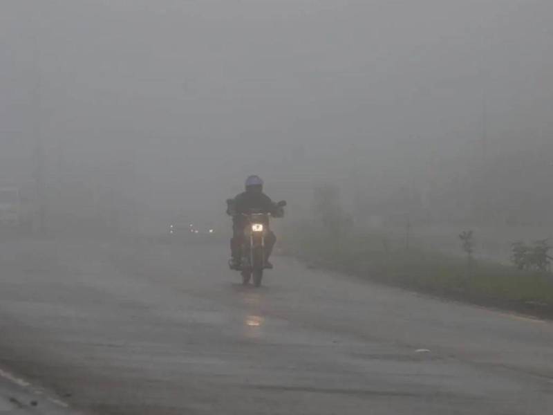 Foto de archivo de LA PRENSA.