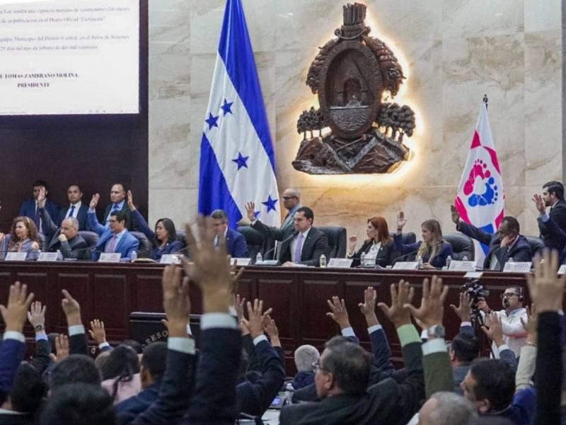 El presidente del Legislativo, Tomás Zambrano, explicó que el uso de los recursos estaría sujeto a la autorización de la Secretaría de Finanzas.