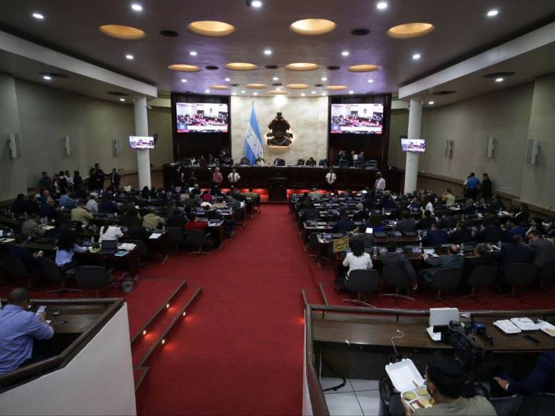 En 2024, el Congreso Nacional ejecutó 173 millones de lempiras en pasajes, viáticos y otros gastos de viaje.