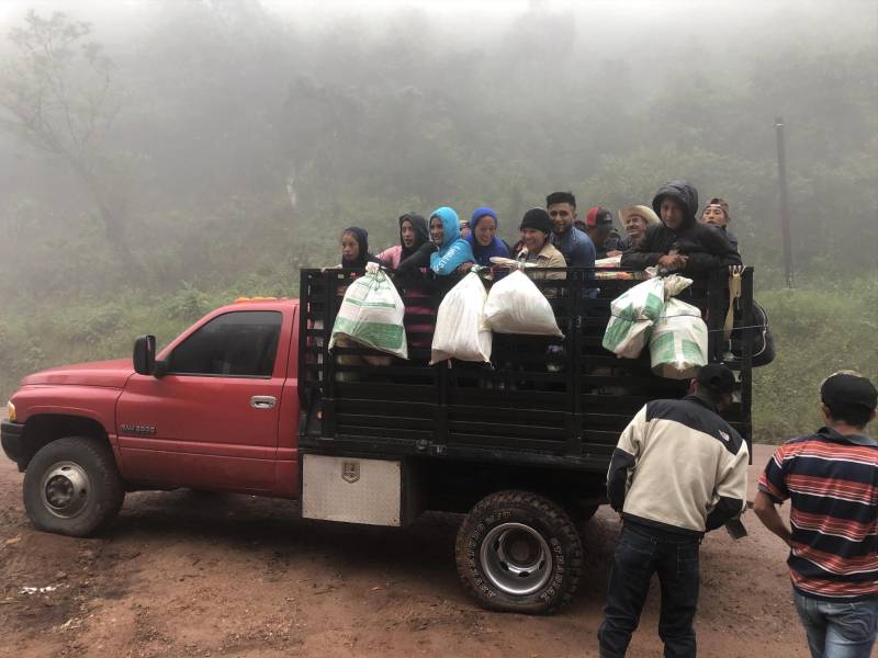 Cortadores de café de Guatemala se trasladan a una finca para recolectar el grano en Copán.