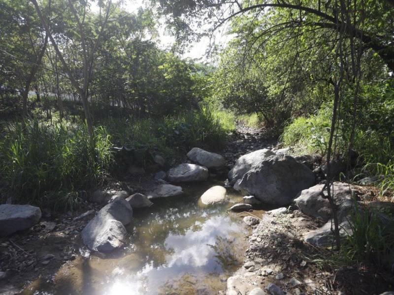 El agua que consumen en San Pedro Sula es 70% subterránea, de pozos, ya que las fuentes superficiales se secan sobre todo en verano.