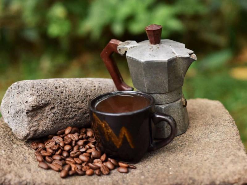 El paraíso del café y cacao: Ecofinca Luna del Puente, un santuario natural rodeado de bosques y biodiversidad.