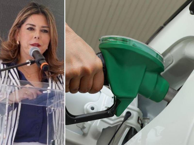 La designada presidencial María Antonieta Mejía dijo que buscan medidas para que alzas no afecten a transportistas ni a los consumidores. Combustibles encadenan 12 alzas y elevan costos en Honduras.