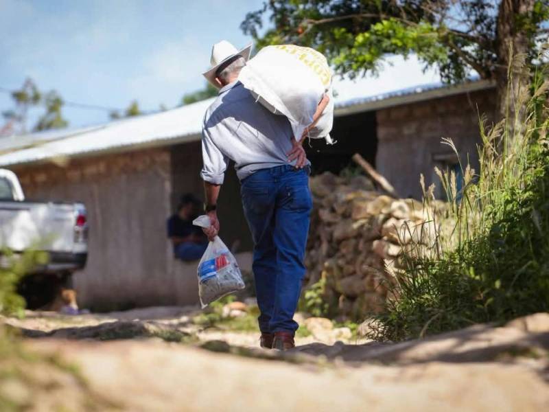 La ayuda llegará a los municipios priorizados mediante tarjetas de supermercado por un monto superior a 100 dólares, que serán entregadas a las familias beneficiarias en tres ocasiones.