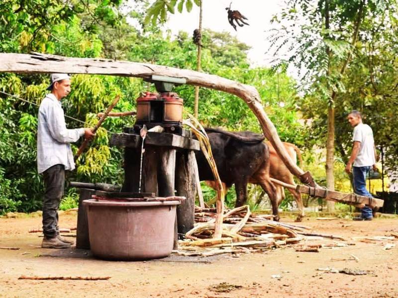 Desde 2005, el hotel de campo Villa de Ada se ha erigido en esta histórica ciudad como un refugio que se niega a dejar morir el pasado.