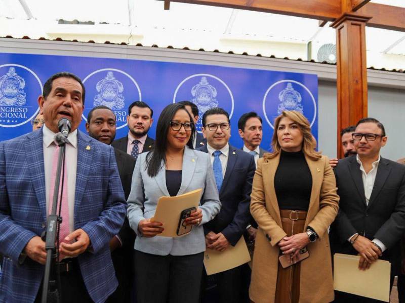 La Comisión Especial del Congreso Nacional entregará a inicios de esta semana la lista de 18 candidatos que será sometida a votación en el pleno.