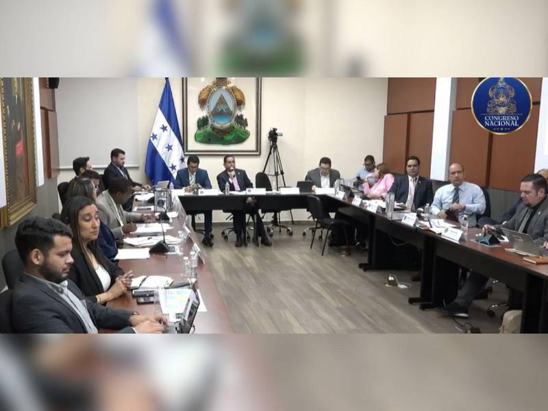 Comisión Especial del Congreso Nacional durante el proceso de audiencias públicas para elegir a los nuevos miembros del CNE y el TJE.