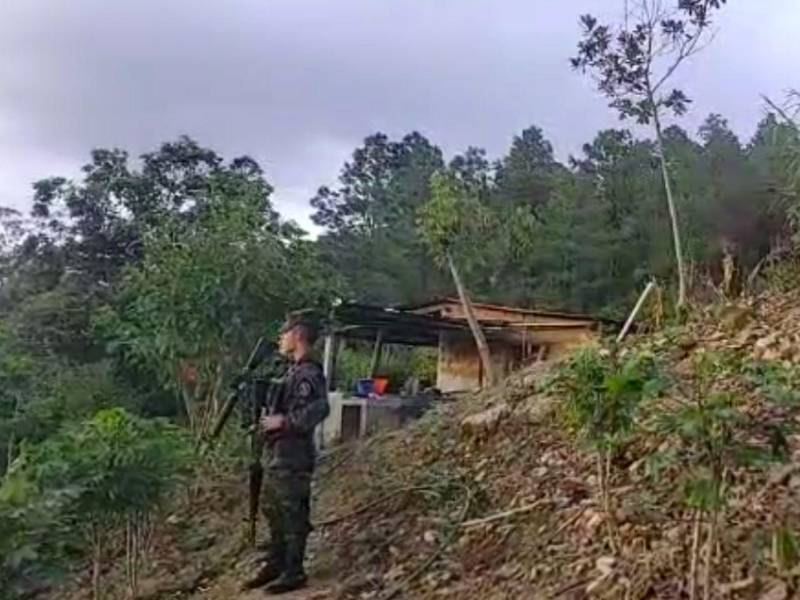 Vista de la escena del crrimen.