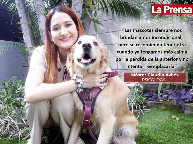 Huellas que nunca se borran: ¿cómo enfrentar la pérdida de tu mascota?