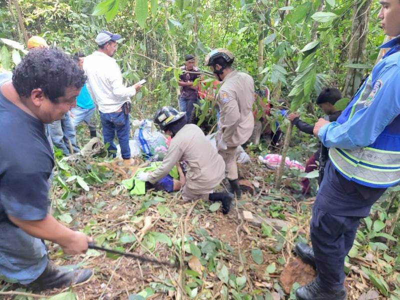El pick-up cayó a una hondonada en una carretera de El Negrito, Yoro, dejando dos personas fallecidas y cinco heridas.