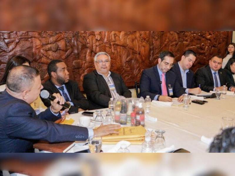 El bloque conformado por diputados y alcaldes de Atlántida presentaron una cartera de proyectos estratégicos al Gobierno Central, en reunión con ministros en Casa de Gobierno.