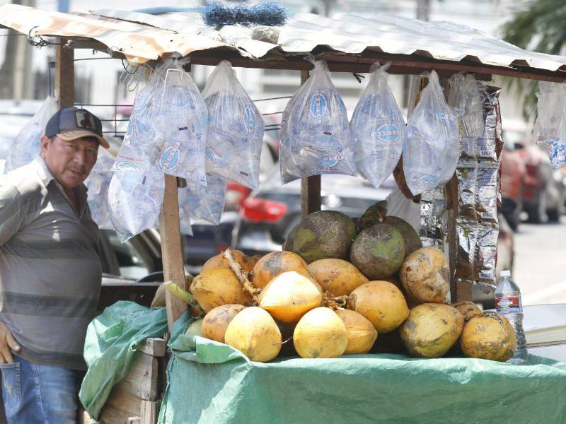 Mantenerse bien hidratado, ya sea con agua pura o con agua de coco bien fría, es ideal en estos días de sofocos por las altas temperaturas.