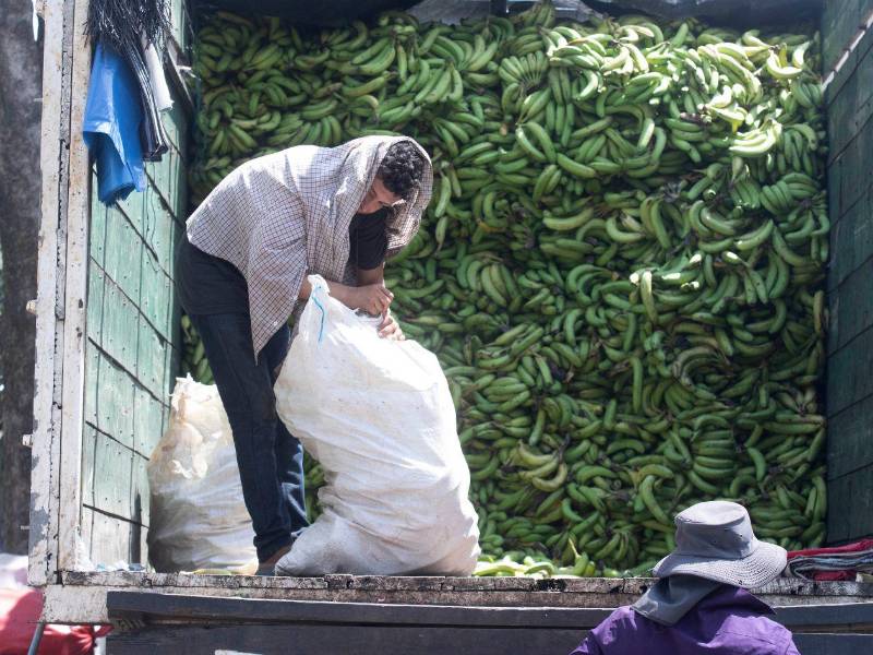Entre los alimentos de mayor consumo destaca el guineo verde, cuyo precio ha presentado constantes variaciones durante el año.