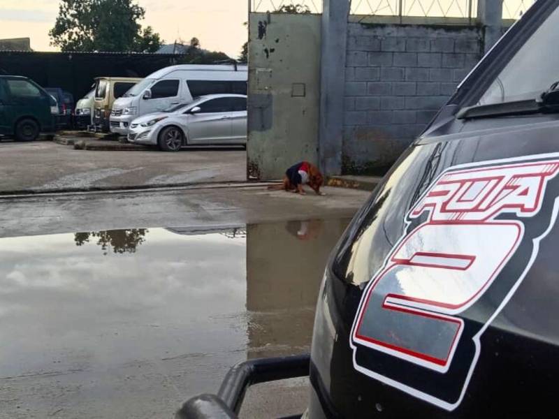 La Ruta 2 cubre los sectores de Pradera, el Centro y La Primavera, uno de los recorridos más concurridos de San Pedro Sula.