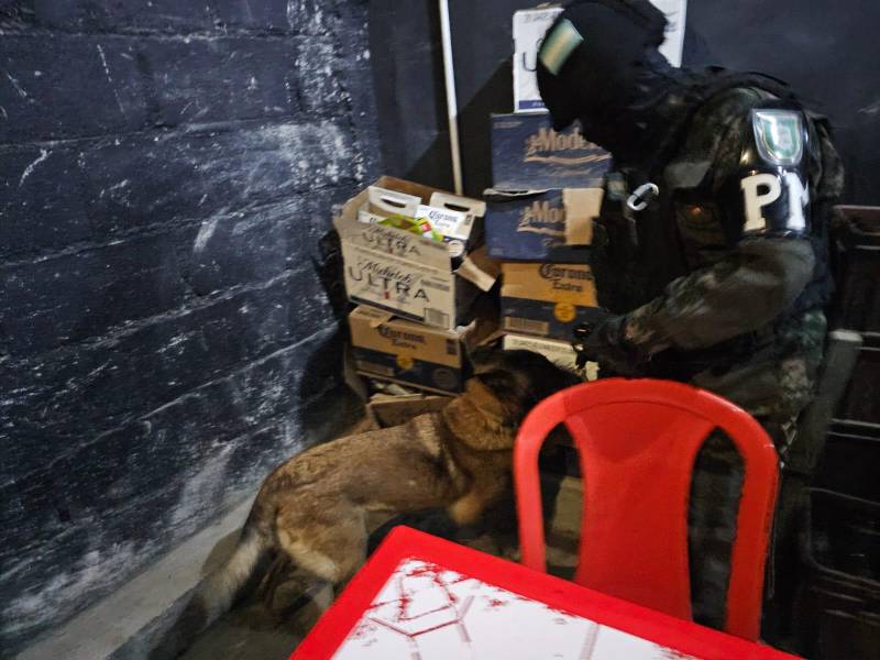 Hasta con perros se buscaron irregularidades en los establecimientos.