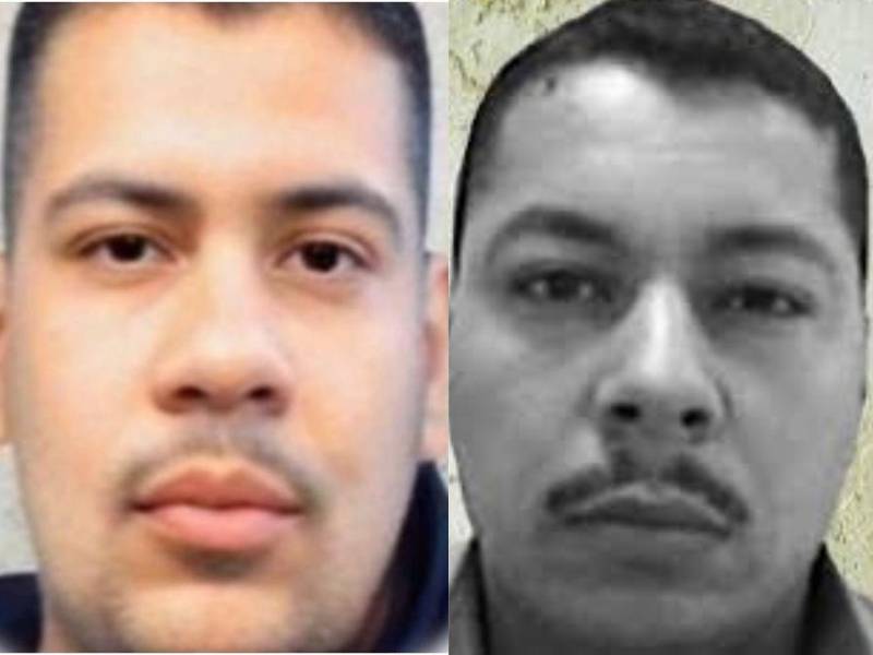 Los narcotraficantes buscados son René Arzate García, alias La Rana, y su hermano, Alfonso Arzate García, alias Aquiles, considerados capos de la plaza de Tijuana.