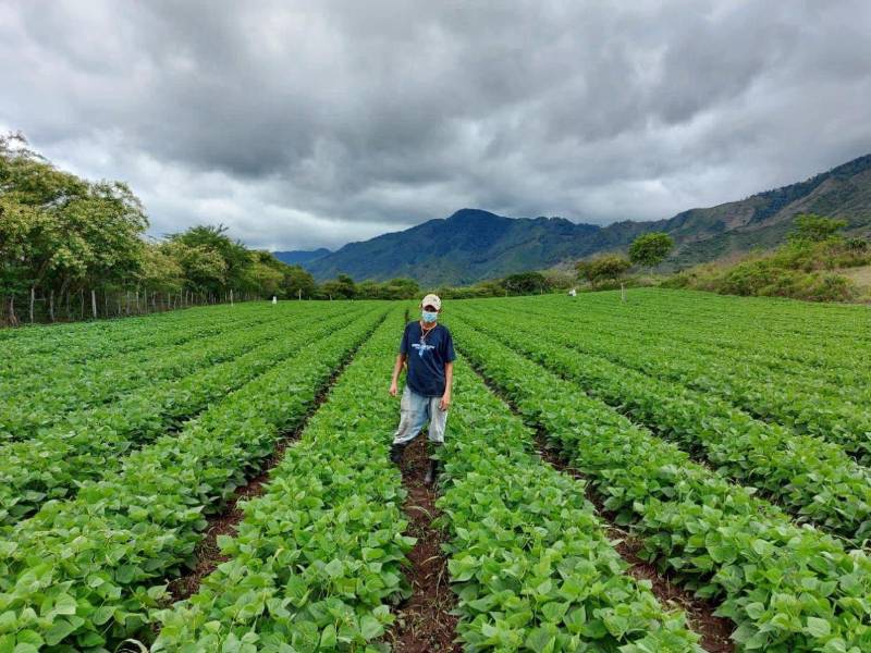 El manejo responsable del suelo y el agua en el municipio de Danlí impulsa su reconocimiento internacional.