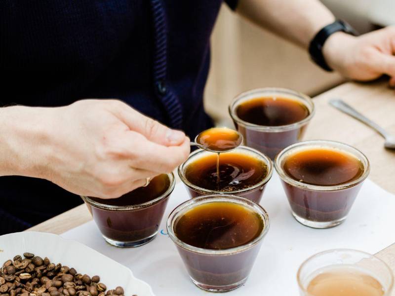 Expertos analizan el perfil de taza mediante pruebas de cata, asegurando el perfil requerido para los mercados internacionales.