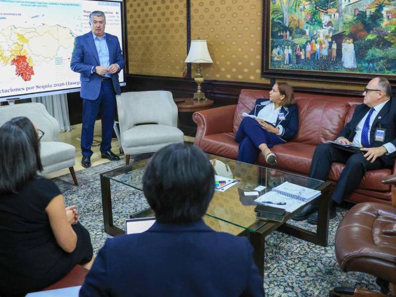 <b>Juan Carlos García</b>, secretario de la Presidencia en reunión con representantes de la FAO.