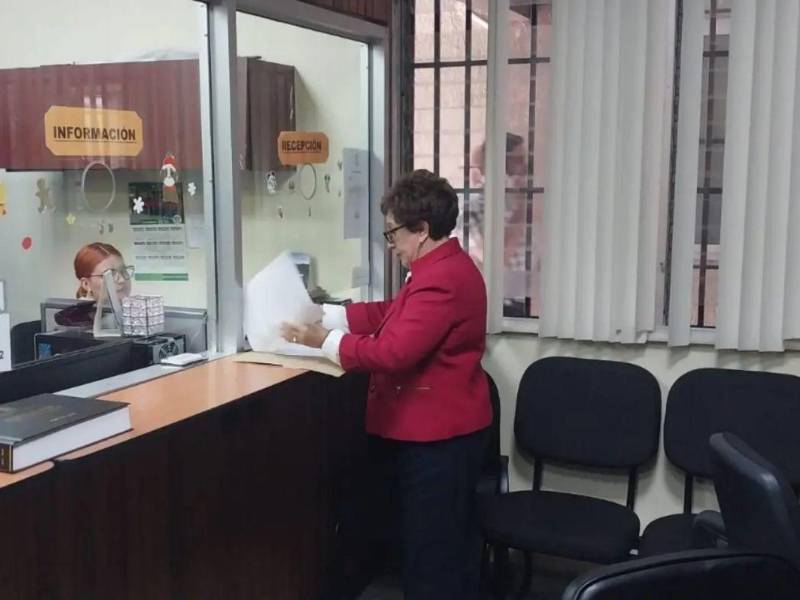 Rut Lafosse, abogada constitucionalista, aportó este jueves al amparo presentado el lunes 12 de enero una serie de consideraciones sobre la legitimidad que le asiste, en su condición de ciudadana, para interponer un recurso de amparo sobre ese particular.