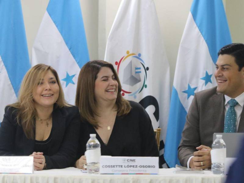 El conflicto que casi lleva a Hall a la renuncia se originó principalmente por desacuerdos acerca del <b>quórum legal necesario</b> para que el pleno del CNE sesione, y por la negativa del consejero Marlon Ochoa de asistir a las reuniones convocadas, lo que paralizaba la capacidad del CNE para tomar decisiones importantes. Ya han limado asperezas.