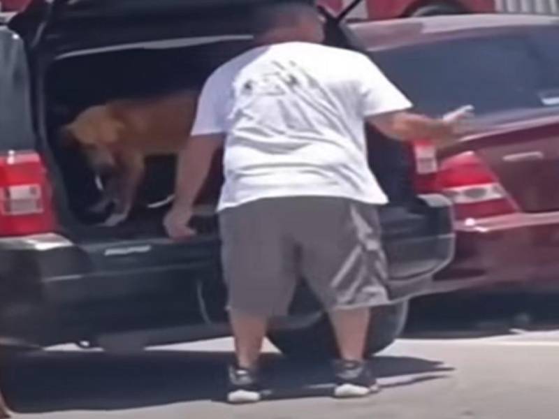Lenin, dueño del perro, pidió disculpas a la población tras la viralización del video.