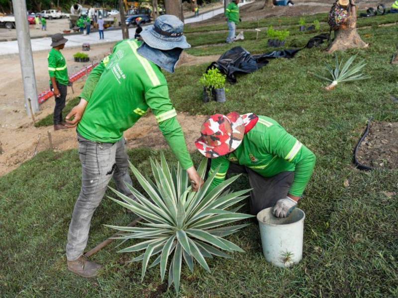 La más sacrificada es Dirse, con L40 millones destinados a limpieza, aseo y fumigación de la ciudad.