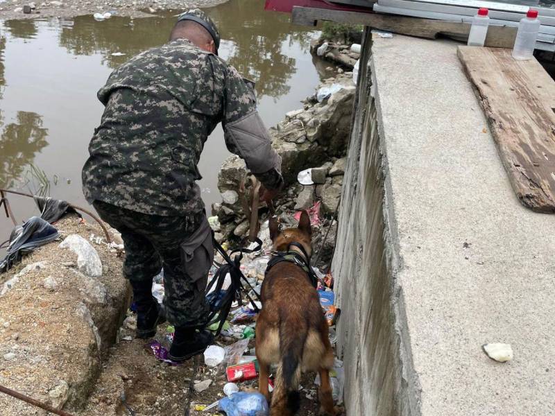 Policías militares buscan con perros entrenados los rastros del cuerpo del niño Elvis Bautista en un crique de San Pedro Sula.