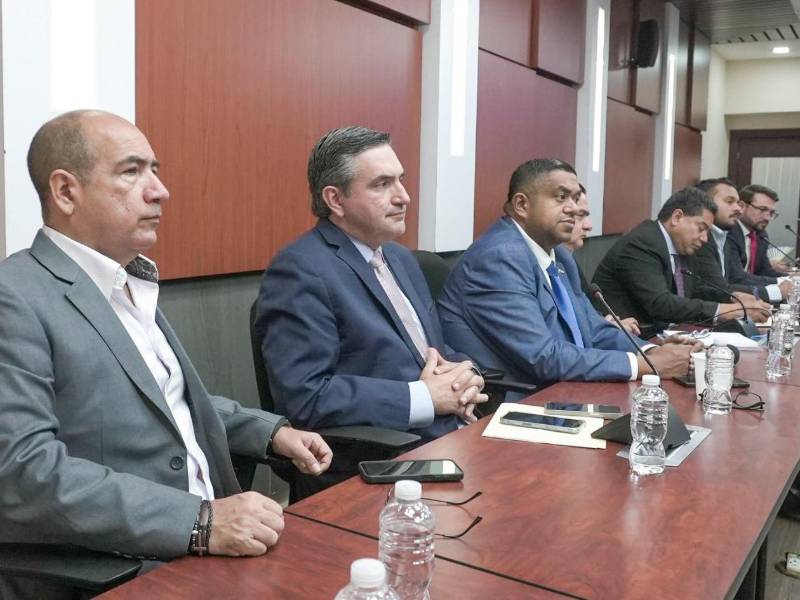 Sefin detalla en el Congreso la estructura del Presupuesto General 2026.