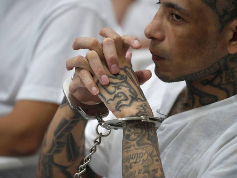 Cientos de presuntos líderes de la pandilla Mara Salvatrucha (MS13) en El Salvador enfrentan una inédita audiencia en la que se juzga a más de 400 pandilleros desde el Cecot, la megacárcel emblema de la guerra de Nayib Bukele contra estas bandas, que se abrió a la prensa por primera vez en este proceso judicial.