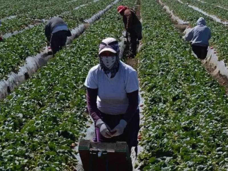 Algunos hondureños tienen de dos a tres trabajos para conseguir un estabilidad económica.