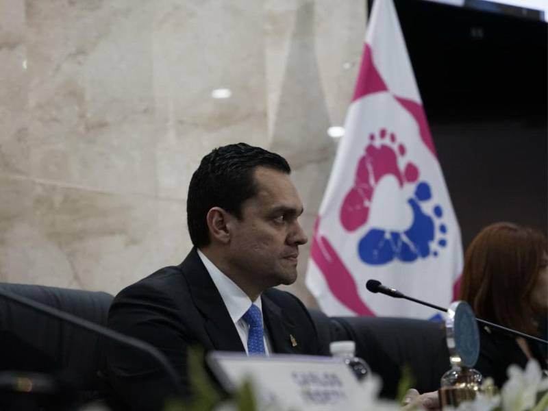 Durante la instalación de la primera legislatura del Congreso Nacional, muchos hondureños se preguntaron qué representaba el pabellón de fondo blanco colocado en la parte posterior del hemiciclo. Las autoridades ya aclararon su significado.