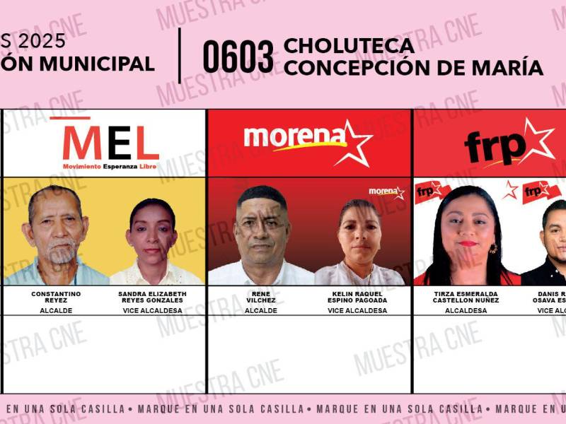 Acá la captura de la planilla en donde aparecen los denunciantes por la corriente MEL del partido Libre.