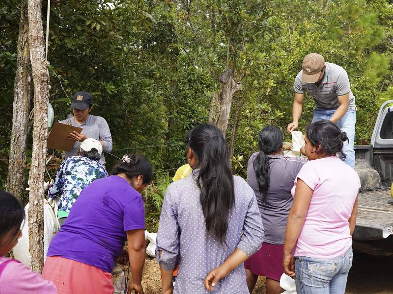 El alza en el precio del café también ha impactado positivamente a los corteros, quienes ahora reciben una mejor remuneración por su trabajo.