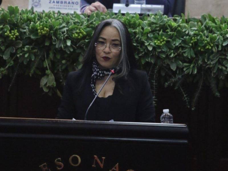 Gabriela Castellanos discursa en el Congreso Nacional. Fotografía de archivo.