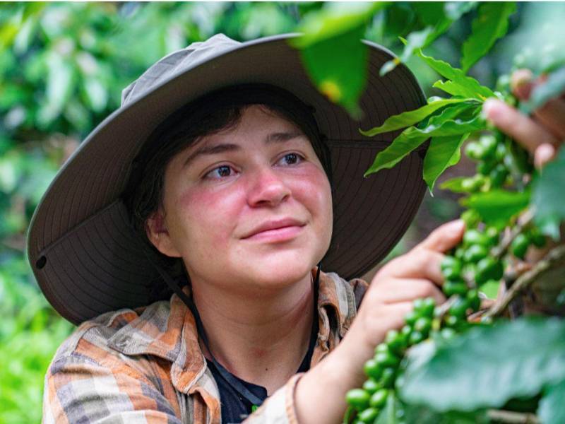 Más de 24,500 jóvenes en Honduras han participado en el programa Jóvenes Caficultores, impulsado por el Plan NESCAFÉ.