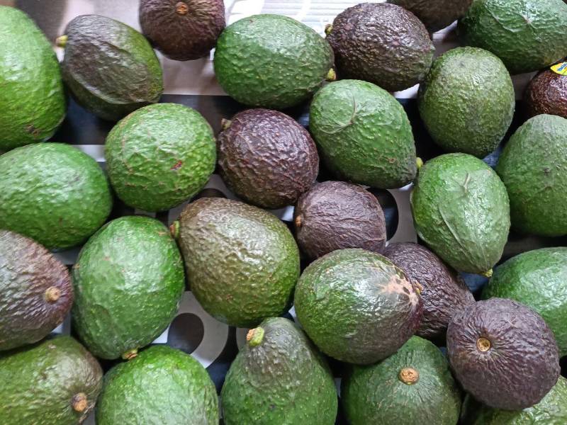 Los hondureños consumen aguacate producido por producores nacionales y también los importados de México y Guatemala.
