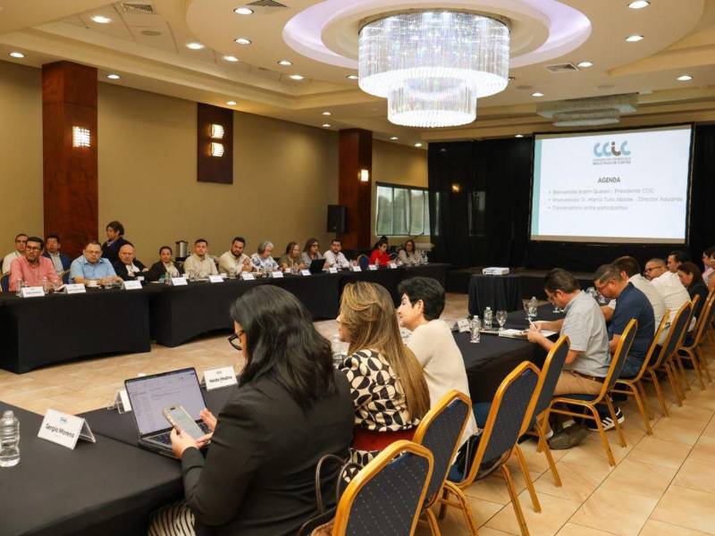 En la reunión también participaron representantes de la cadena logística.