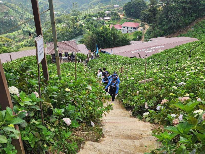 El Merendón ofrece diversas actividades para los visitantes, entre ellas senderismo, ciclismo de montaña, recorridos por bosques y cascadas, además de gastronomía, cafeterías y miradores.