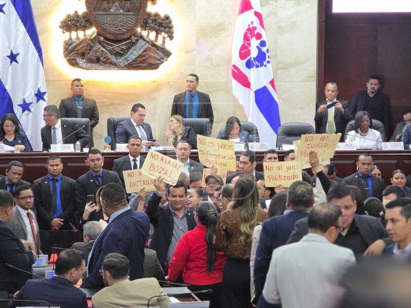 Diputados de Libre sostienen pancartas.