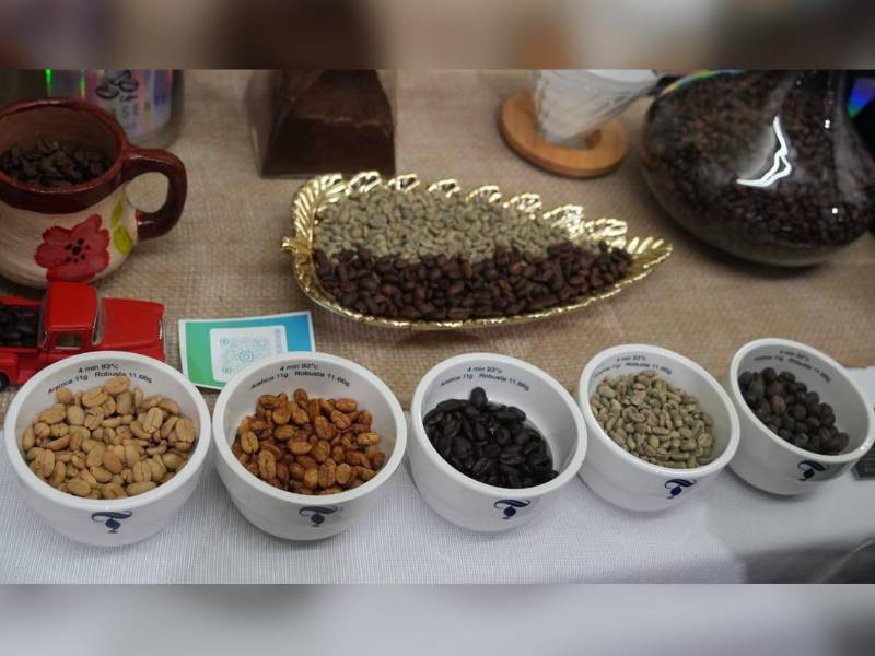 El café hondureño, reconocido por su calidad y sostenibilidad, fue protagonista en la Asamblea del Consejo Internacional del Café, donde se reafirmó su valor como símbolo de identidad y motor económico del país.