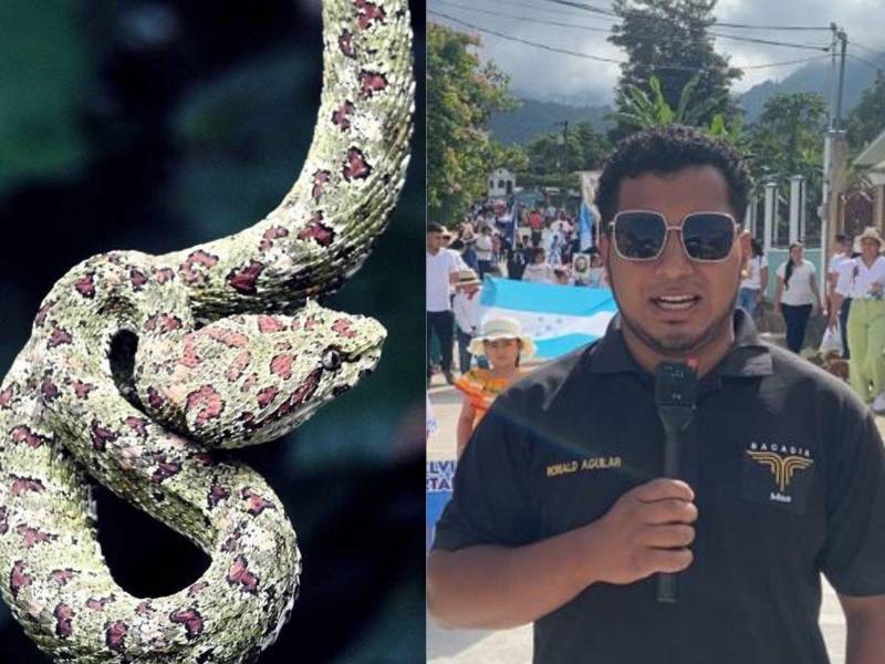 Una aventura en la montaña por parte del periodista hondureño Ronald Aguilar por poco termina en una tragedia.