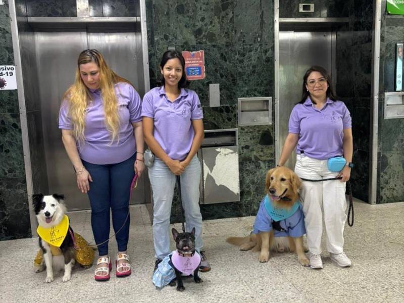 Max, Georgia y T’challa junto a sus tutoras.